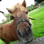 Farm stay Farm Frank Ozmec Wine And Glamping Estate *