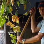 Farm stay Farm Frank Ozmec Wine And Glamping Estate