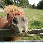 Farm Frank Ozmec Wine And Glamping Estate Farm stay Ljutomer