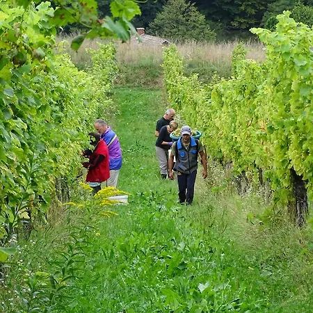 Farm Frank Ozmec Wine And Glamping Estate Alloggio per agriturismo Ljutomer