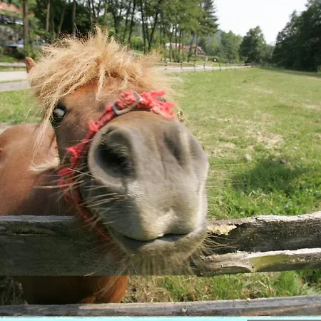 Farm Frank Ozmec Wine And Glamping Estate Farma Ljutomer