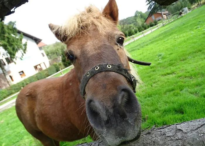 Farm stay Farm Frank Ozmec Wine And Glamping Estate *