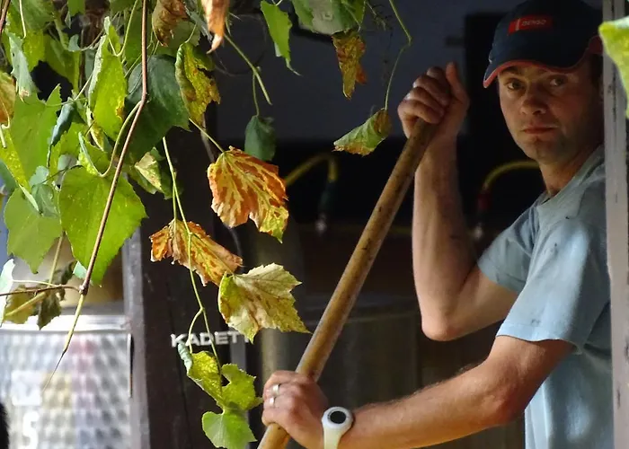 Farm stay Farm Frank Ozmec Wine And Glamping Estate