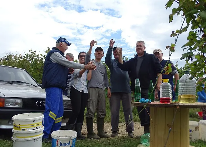 Farm stay Farm Frank Ozmec Wine And Glamping Estate Ljutomer