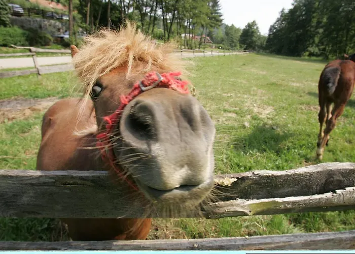 Farm Frank Ozmec Wine And Glamping Estate Farm stay Ljutomer